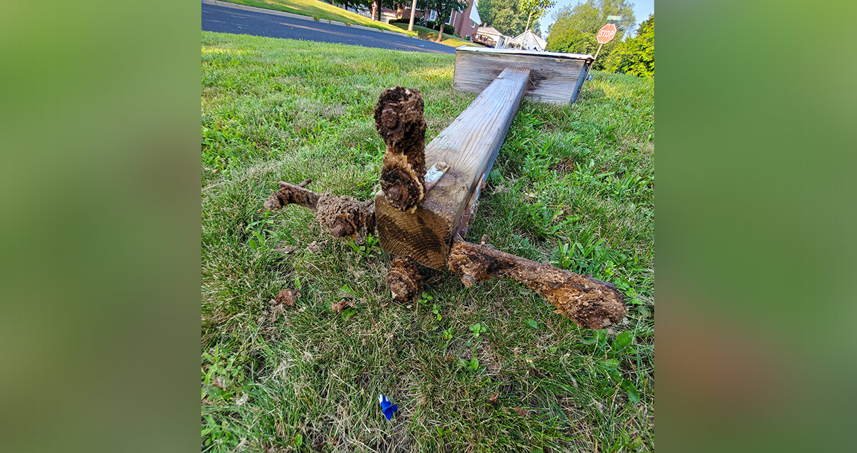 Mailbox Planter Project by Philip at Menards®