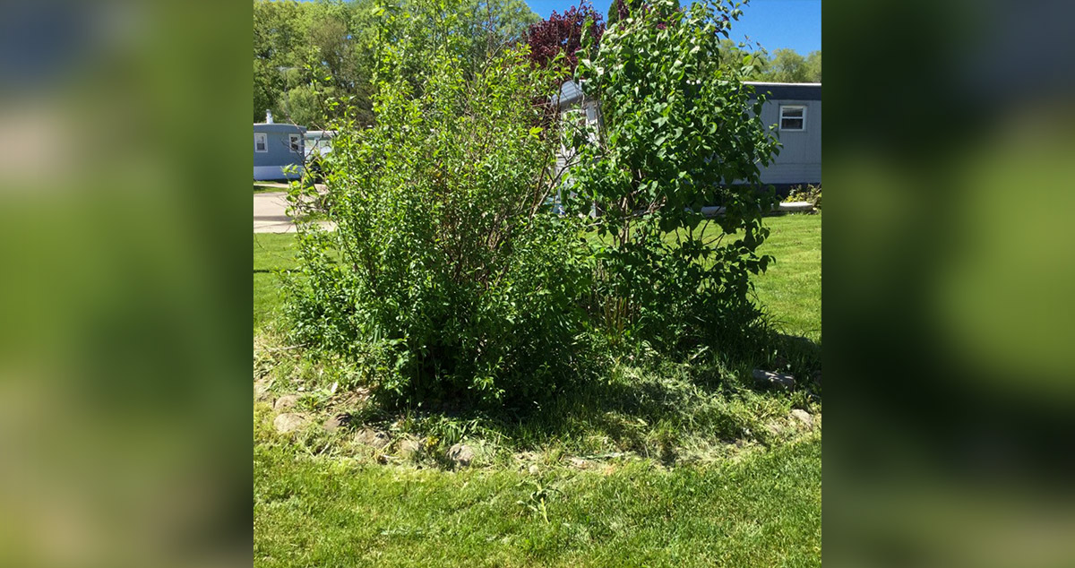 Yard Planter Project by Kimberly at Menards®