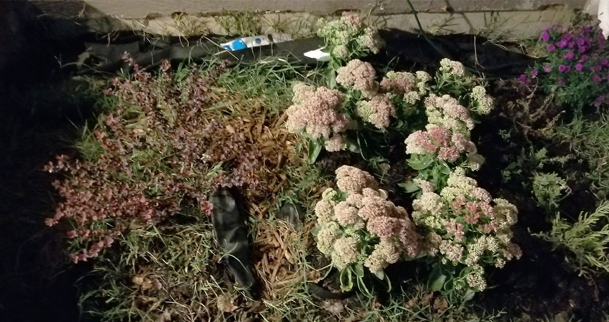 Flower Bed Edging Project by Lisa at Menards®