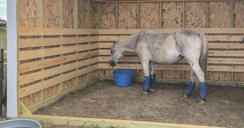 Horse Lean-To - Project by Janice at Menards®