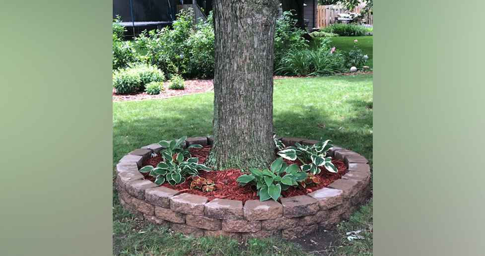 Tree Ring Project by Mitchell at Menards®