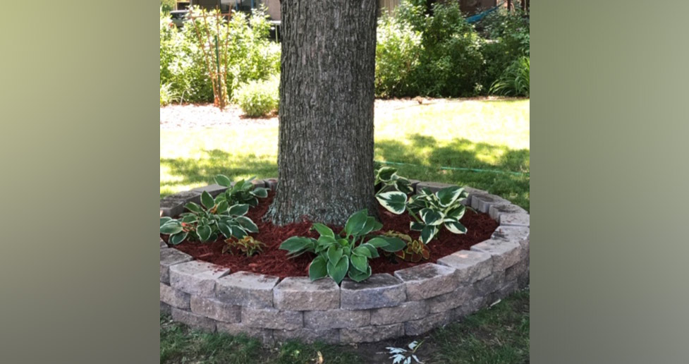 Tree Ring Project by Mitchell at Menards®