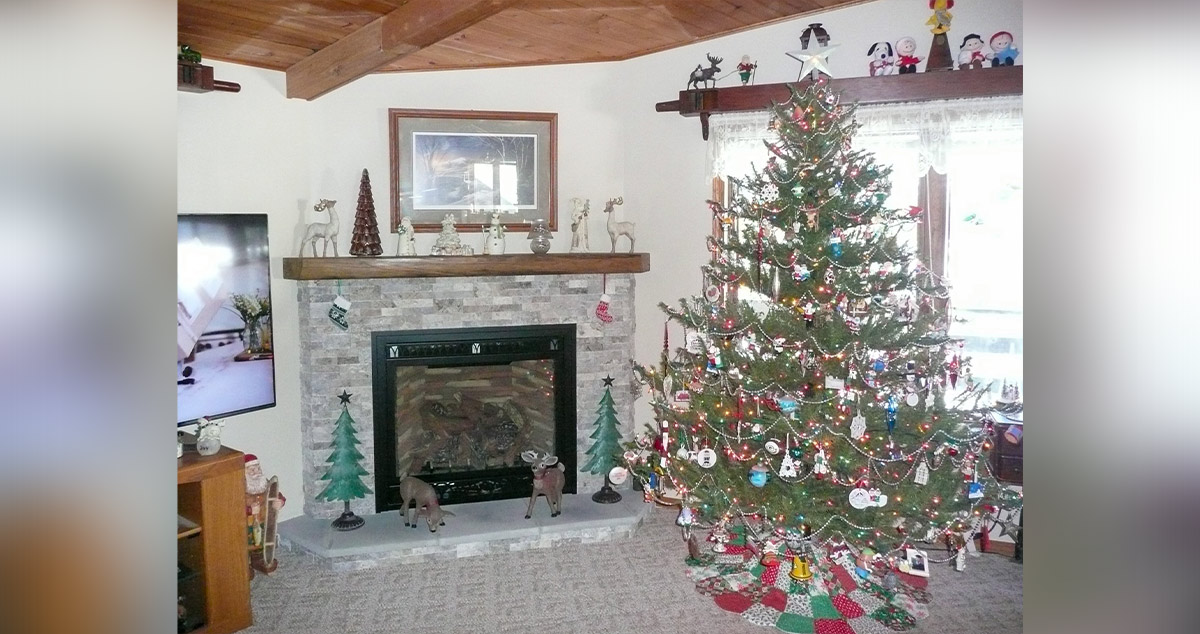 Fireplace Replacement Project by Brian at Menards®