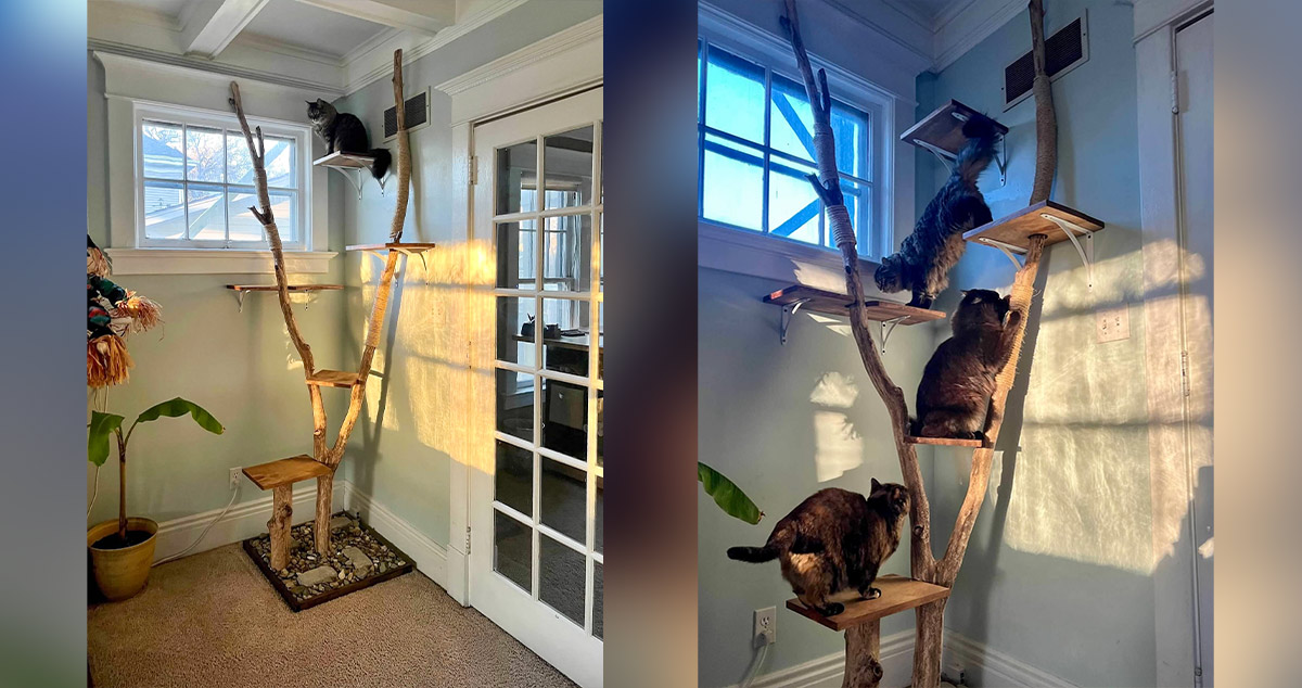 Literal Cat Tree Project by Kirsten at Menards®