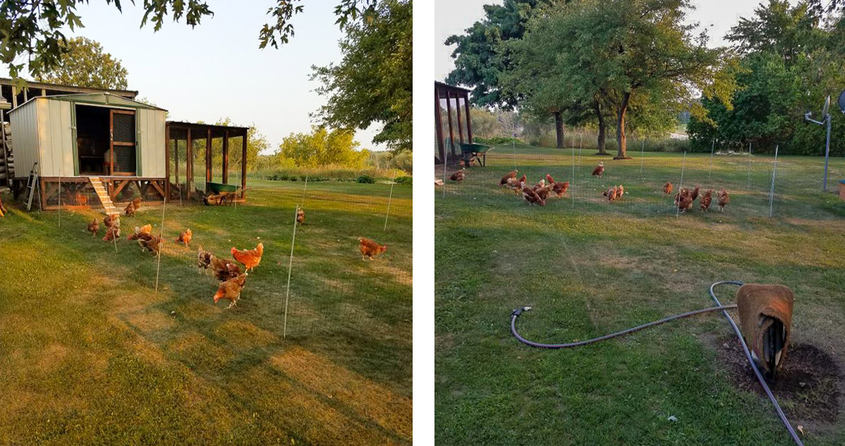 Repurposed Chicken Coop - Project by Doren at Menards®