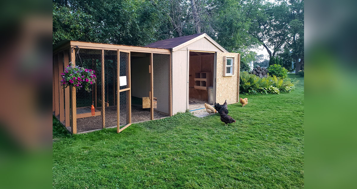 Chicken Coop Project Project by Richard at Menards®