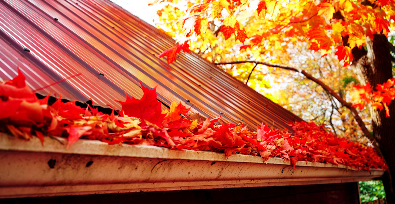How to Clean Out Your Gutters at Menards®