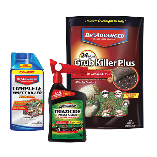 Victor Rodent Control at Menards®