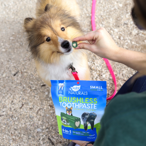 Brushless toothpaste for dogs hotsell