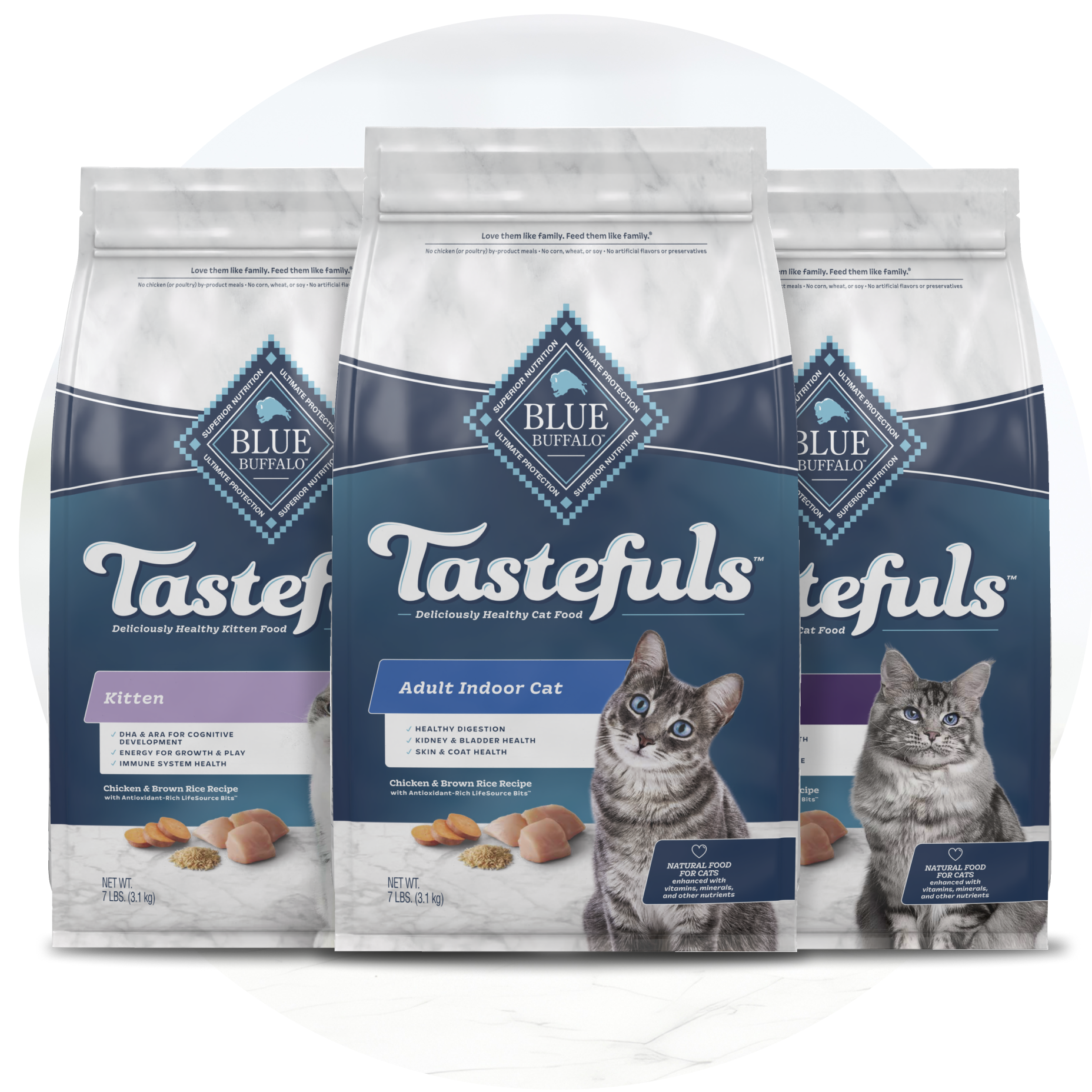 cat food bag purina Purina Fancy Feast Dry Cat Food With Ocean Fish and Salmon