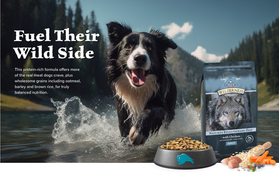 Menards diamond dog food best sale