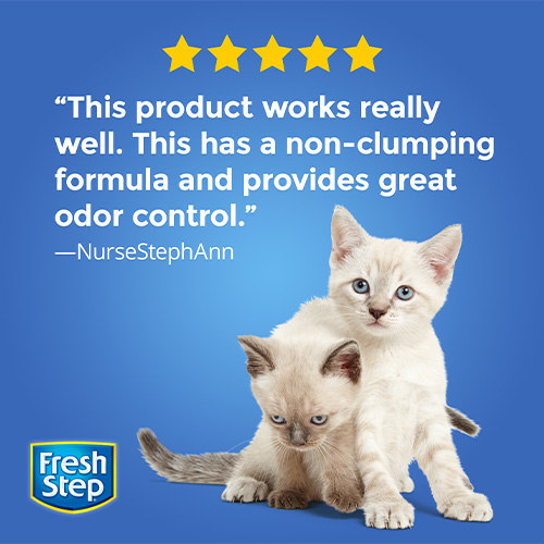 Fresh step non clumping clay cat litter cheap