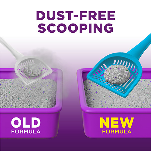Scoop away multi cat discount