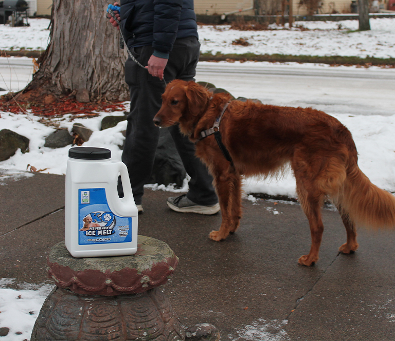 Dog friendly salt for ice 2025 big bag