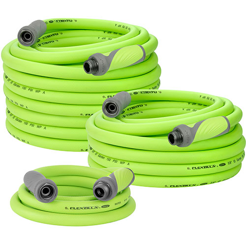 その他 flexus 81N4cWygEaL._AC_UF350,