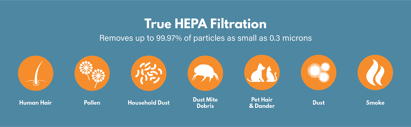 Hapf300 true hepa filter cheap