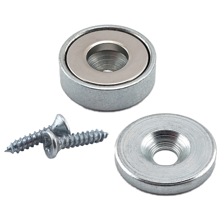 Master Magnetics - 2432636 at Menards®