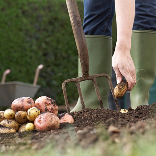 Garden & Landscaping Tools at Menards®