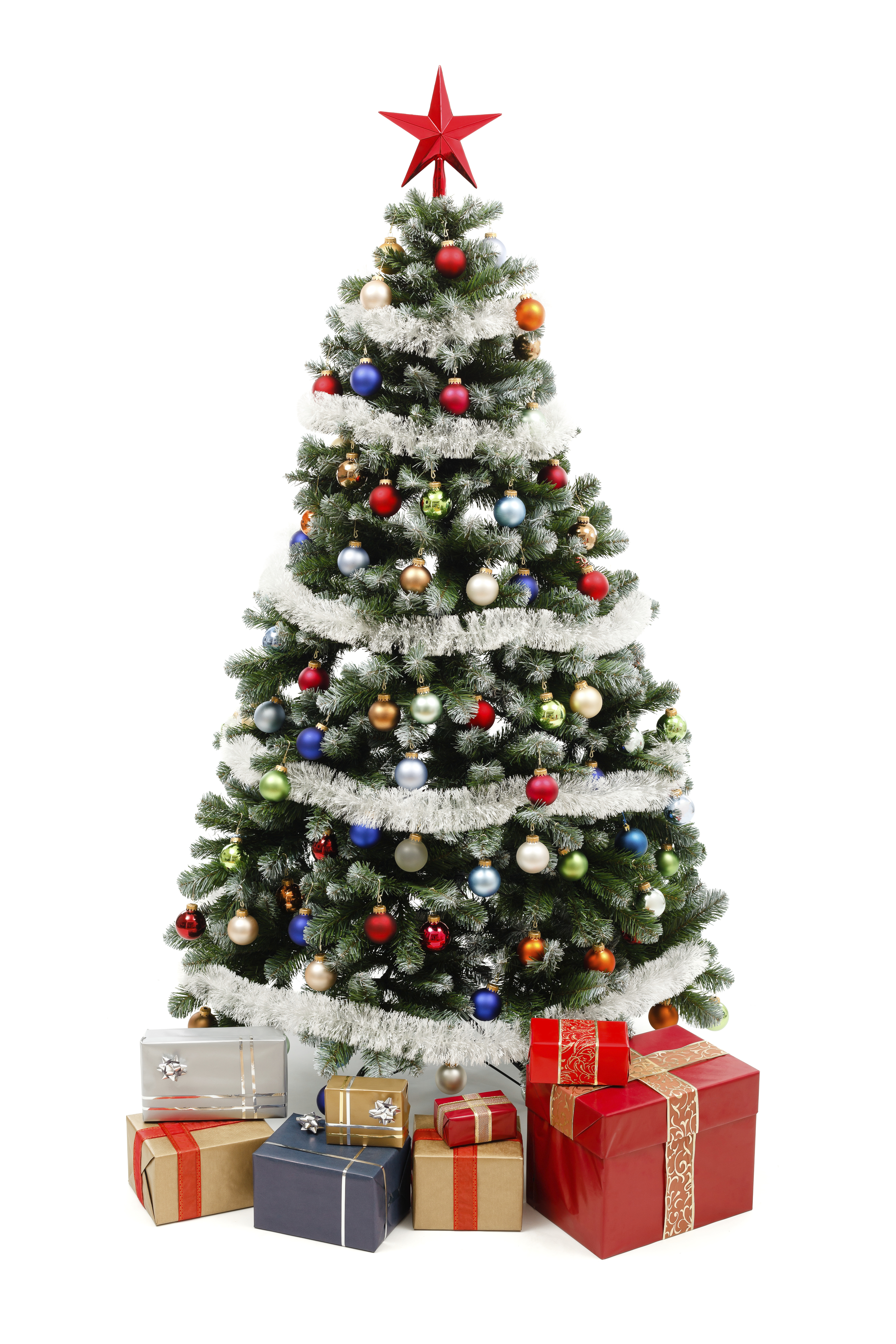 Christmas trees online at menards