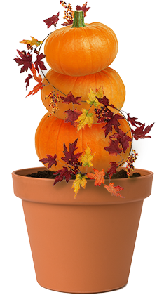 Transform Your Home with Menards Fall Decorations: A Complete Guide