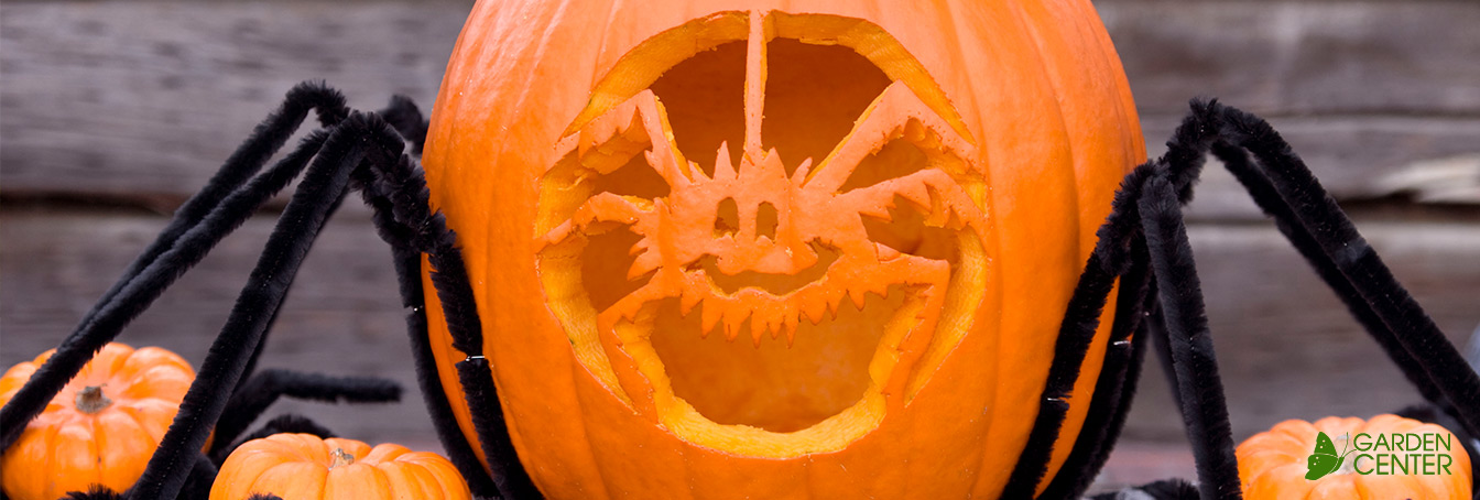 how-to-make-your-carved-pumpkin-last-longer-at-menards