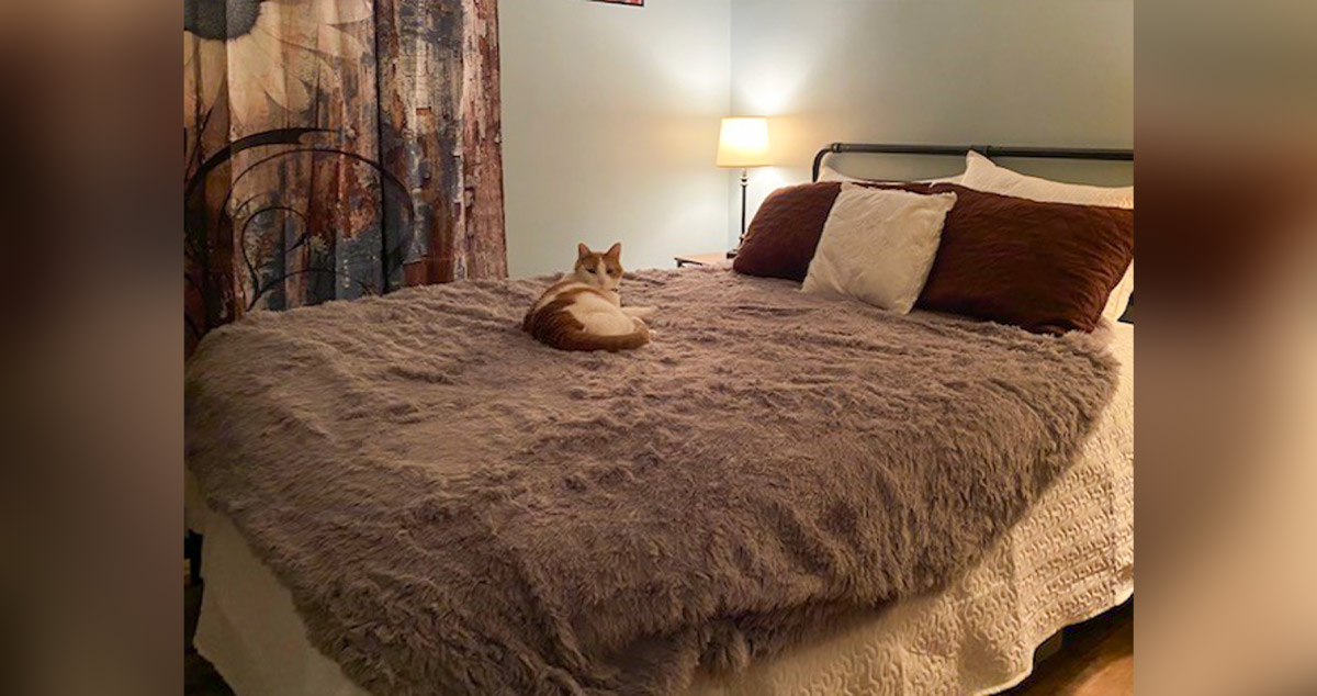 Comfy Bedroom Remodel Project by Dave at Menards®