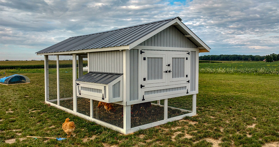 Chicken Coop Project by Matt at Menards®