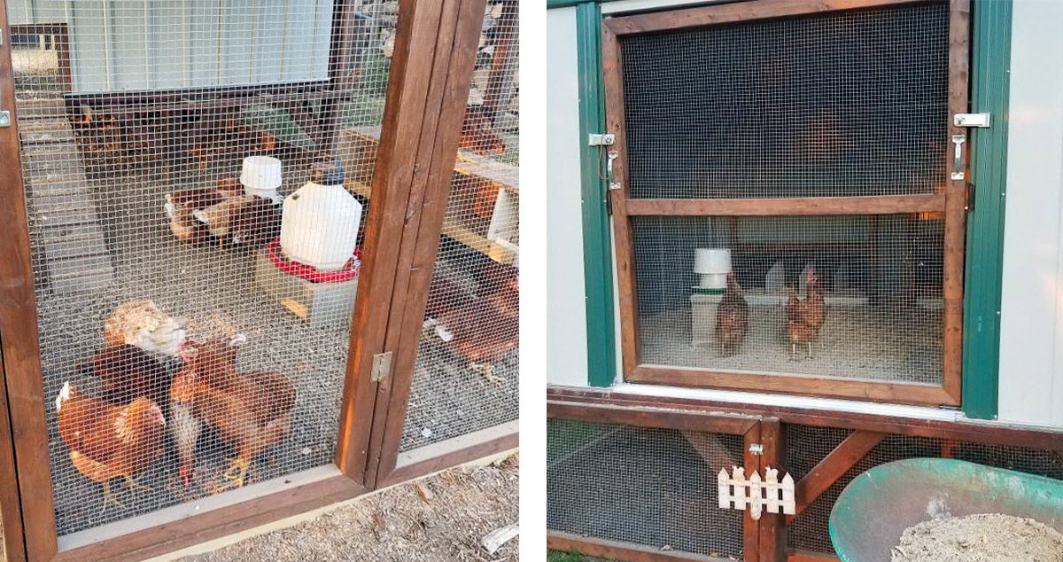 Repurposed Chicken Coop Project by Doren at Menards®