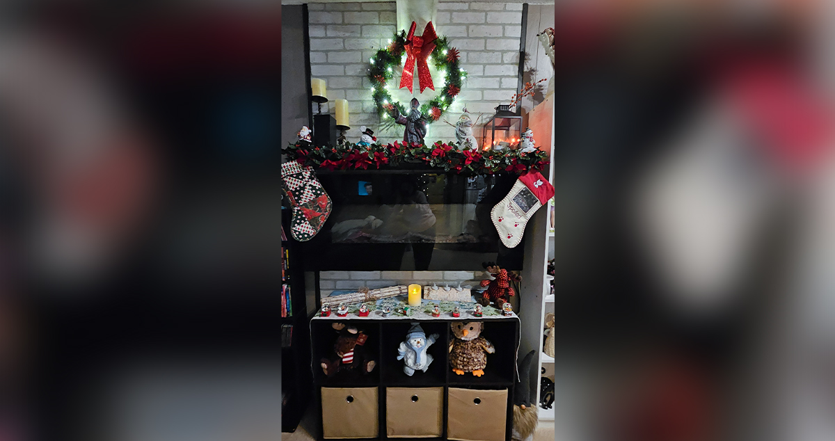 Brick Wall Fireplace Project by Jennifer at Menards®