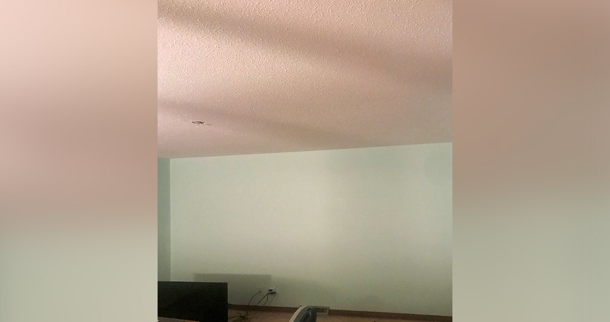 Painting & Drywall Project by James at Menards®