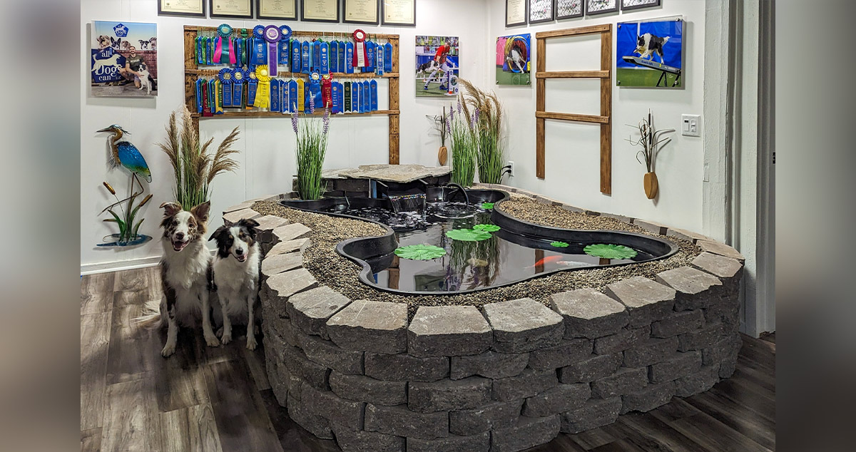 Winter Fish Haven Project by Jeremy at Menards®