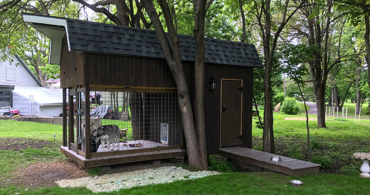 Outdoor dog kennel clearance menards