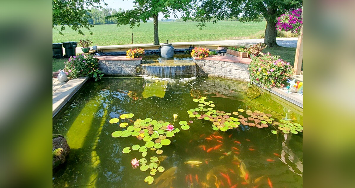 Pond & Patio Upgrade Project by Cassie at Menards®