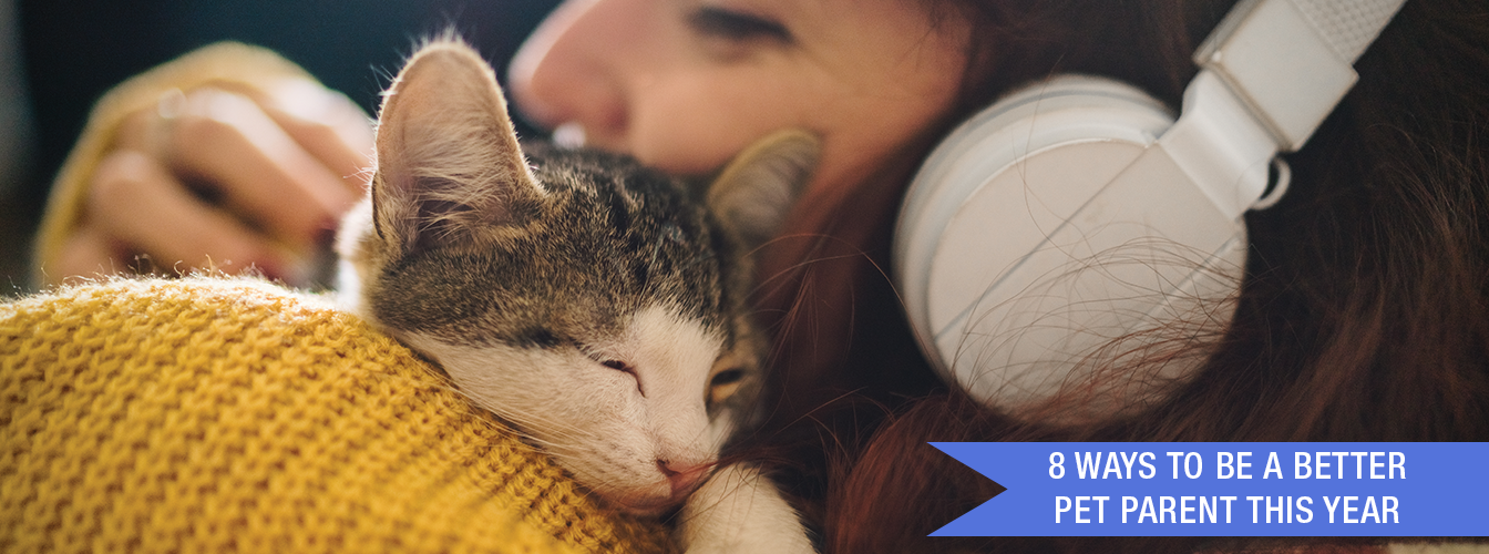 8 Ways to Be a Better Pet Parent This Year at Menards®