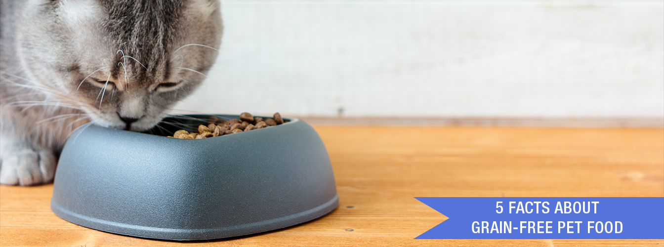 5 Facts About GrainFree Pet Food at Menards®