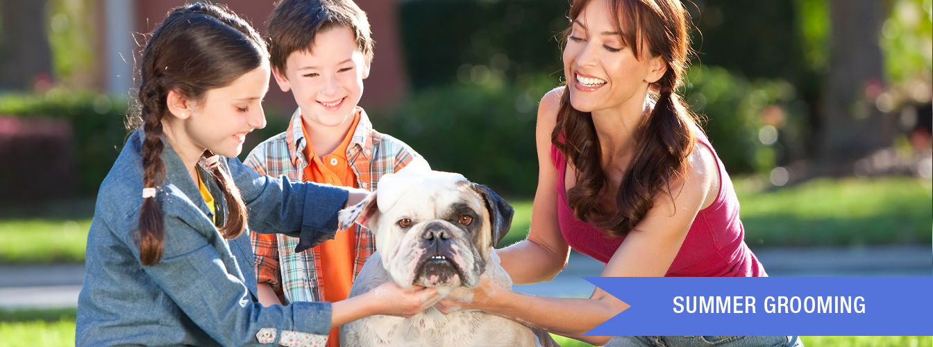 Summer Grooming at Menards®