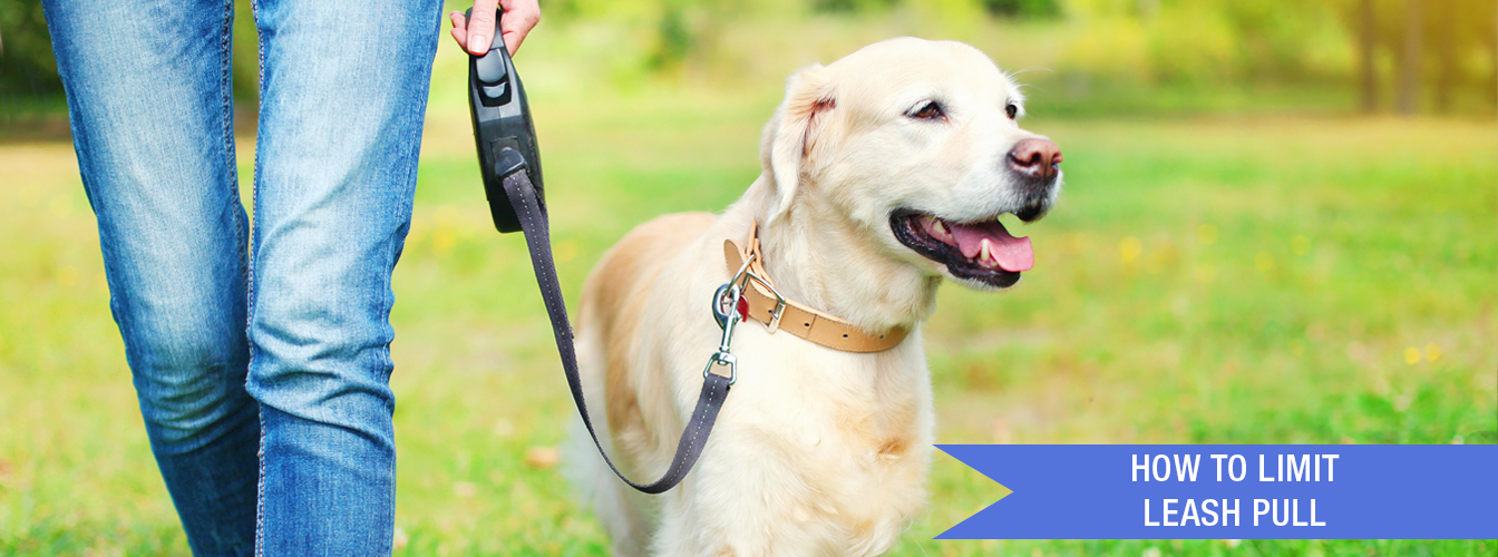 How To Limit Leash Pull at Menards®