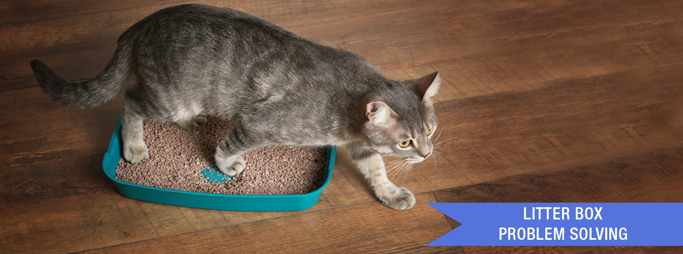 Litter Box Problem Solving at Menards®