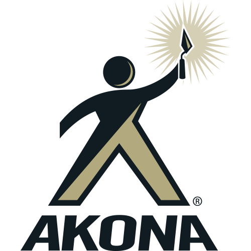 Akona Instant Anchoring Cement - Quick Setting Powder, Set
