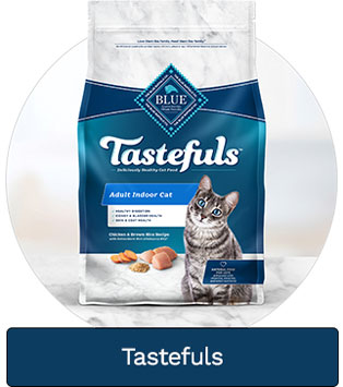 Blue buffalo hotsell cat food price