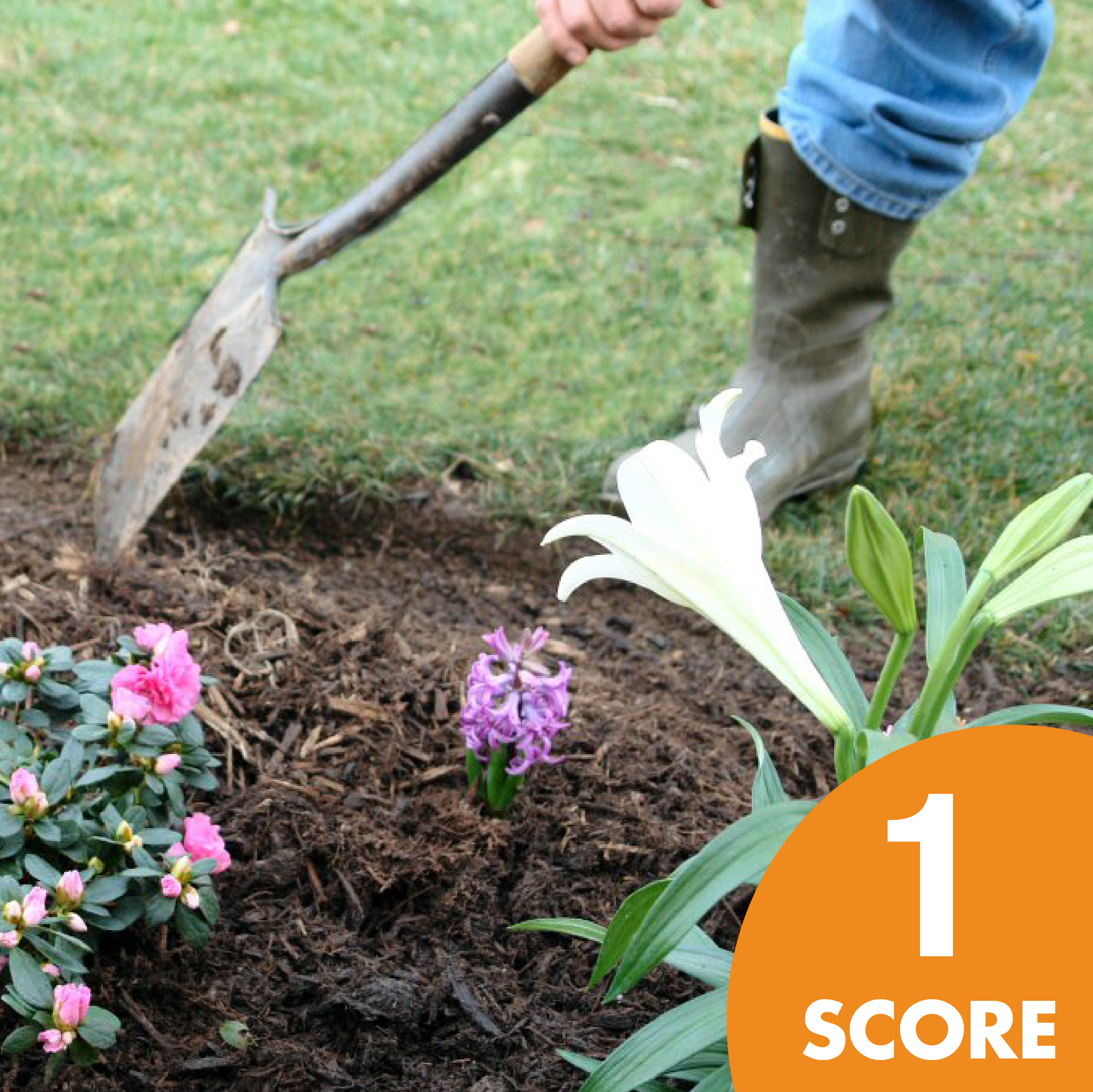 Dimex - 2682778 at Menards®