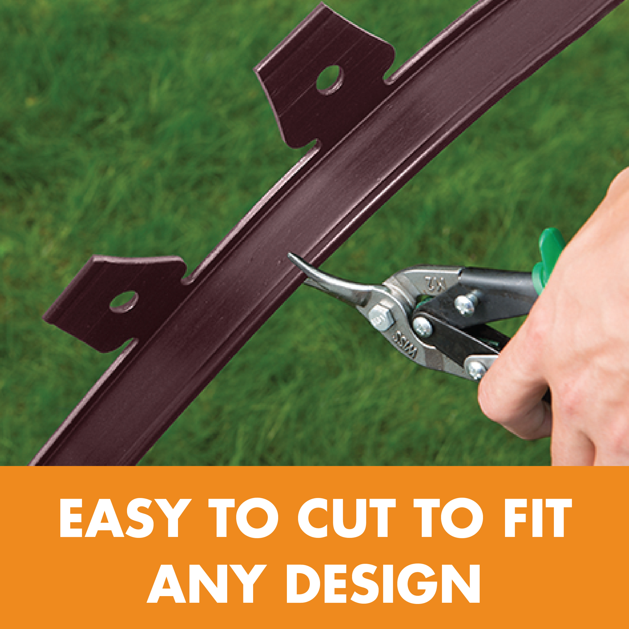 アンメット ディレクターズカット版 アンメット ディレクターズカット版 Amazon.co.jp: アンメット ある脳