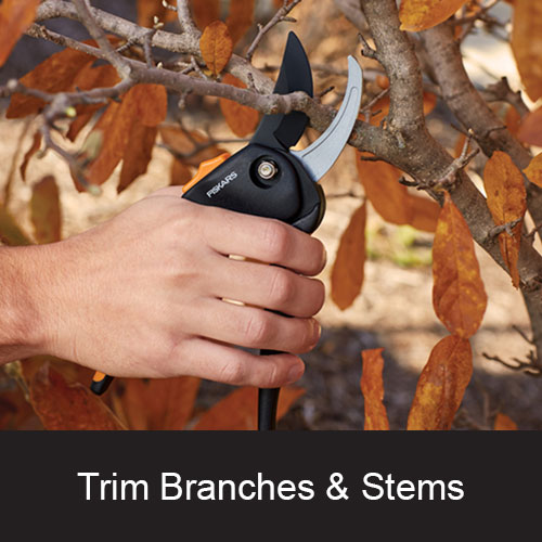 https://cdn.menardc.com/main/store/20090519001/assets/images6/_Vendor/Fiskars/TrimBranchesStems.jpg