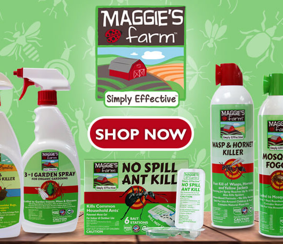 Simply Effective Roach Killer Gel Bait – Maggie's Farm Ltd