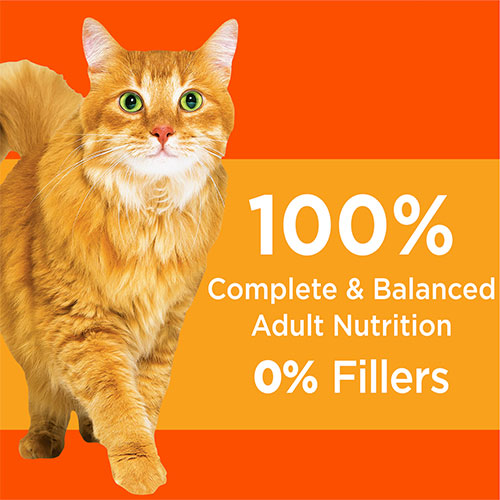 IAMS ProActive Health Healthy Adult Chicken Dry Cat Food 22