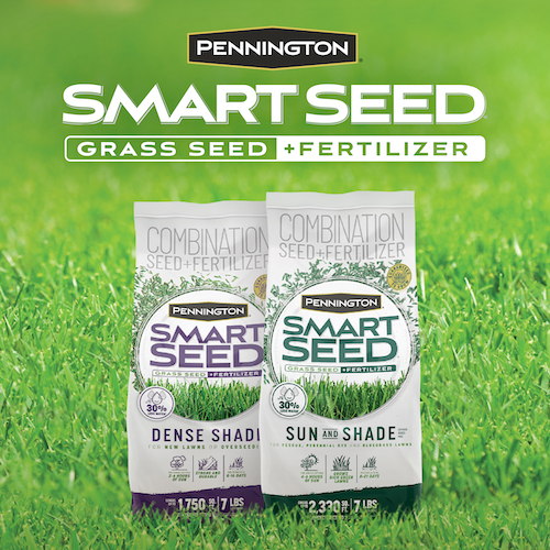 Pennington store grass seed
