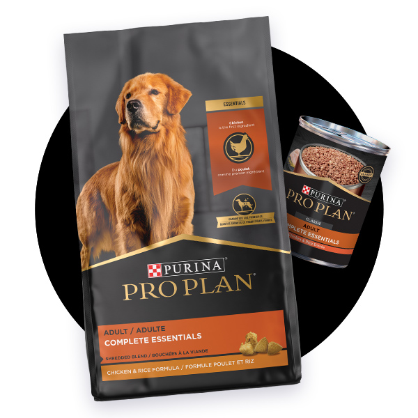 Menards hot sale purina one