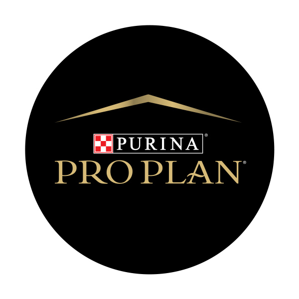 Menards pro store plan dog food