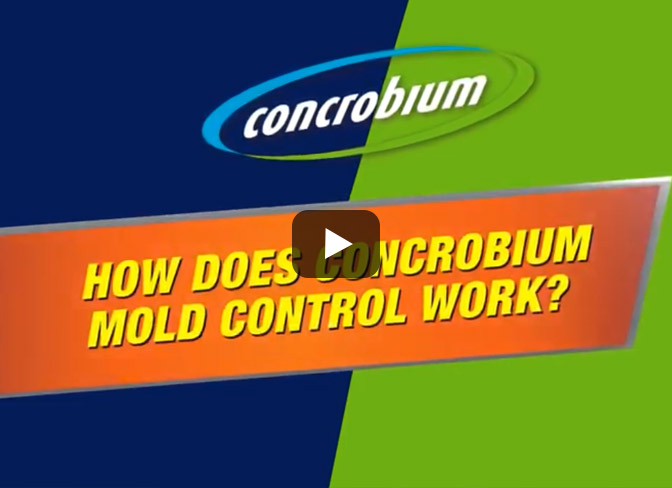 Concrobium Mold Control: Indoor Mold Fighting Guide 