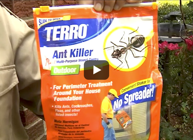 Terro Multi-Purpose Insect Bait